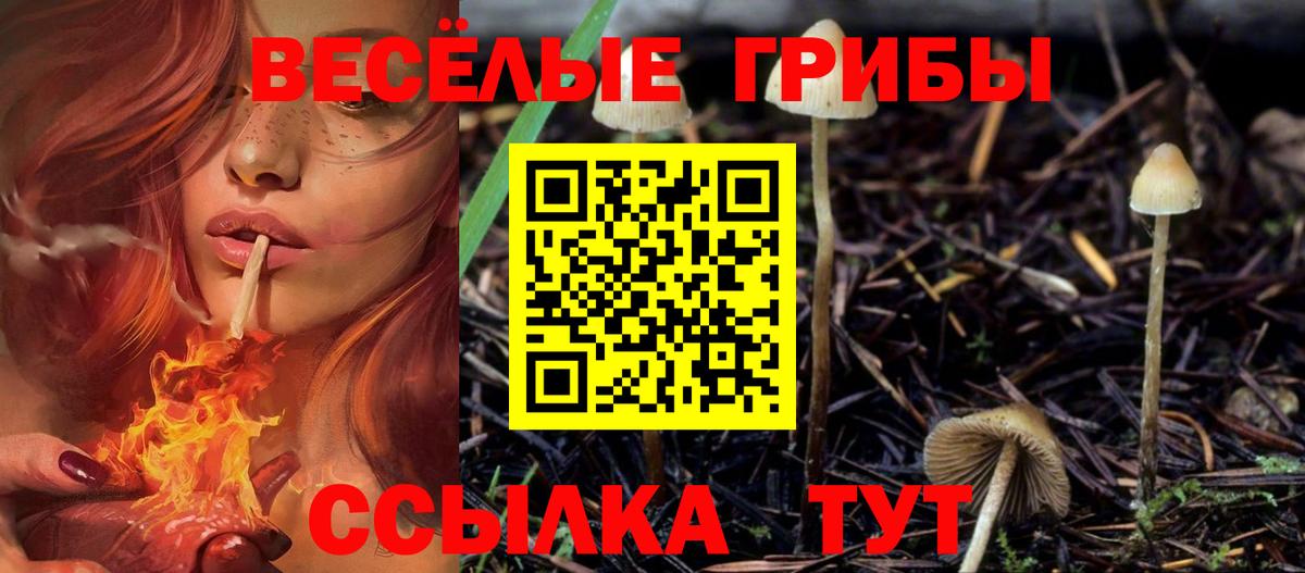 Галлюциногенные грибы мицелий  где можно купить   Зеленогорск  Вход с VPN 